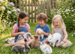 Three children sitting on grass holding and surrounded by fluffy rabbits in a garden